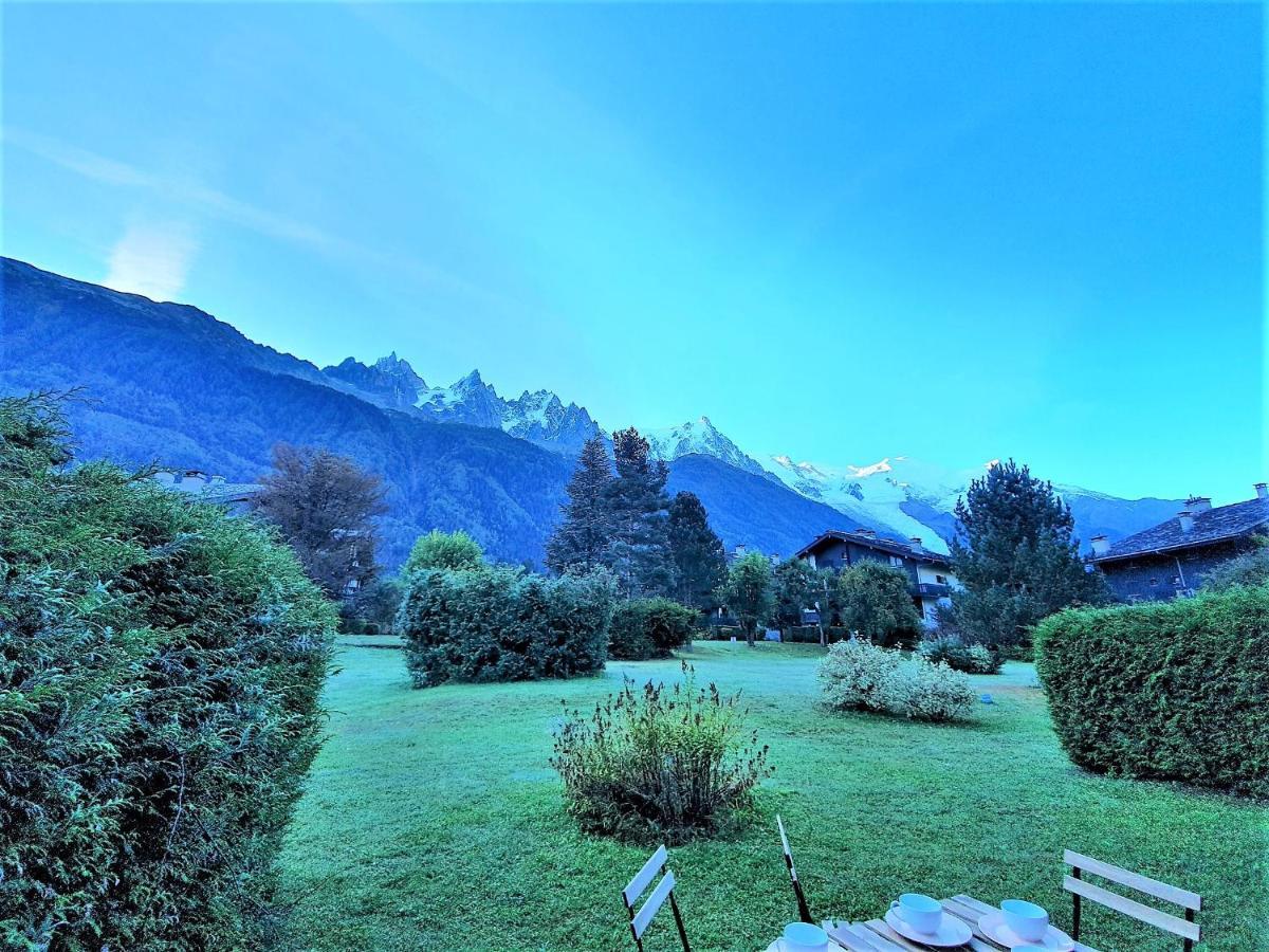 Chamonix Appartement Vue Mont Blanc Avec Jardin Экстерьер фото
